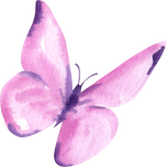 Purple Butterfly Watercolor